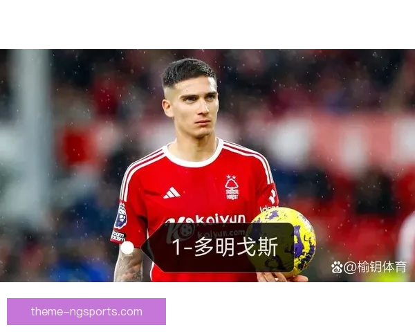 霍芬海姆1899俱乐部最新动态：新赛季备战进展及球员转会情况分析