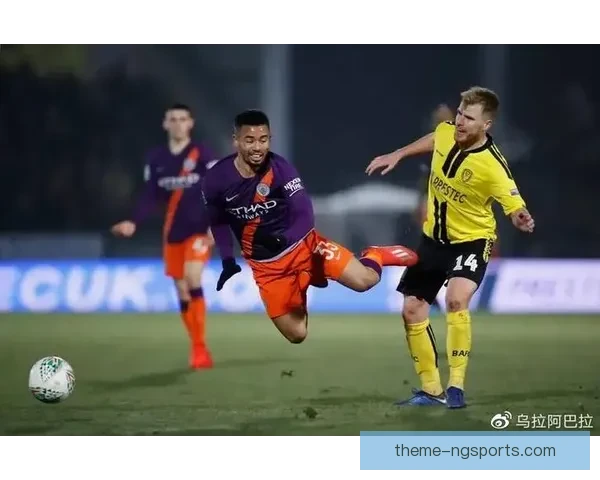 巴恩斯利足球俱乐部历史与发展概述及其在英格兰足球中的地位分析